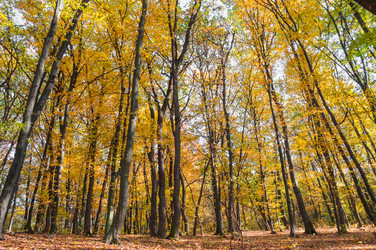 Similar image 10446557