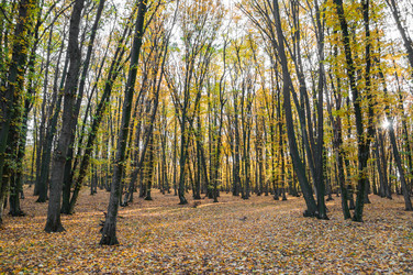 Similar image 10446558