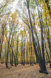 Similar image 10446559