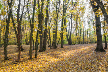 Similar image 10446560