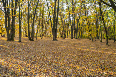 Similar image 10446561