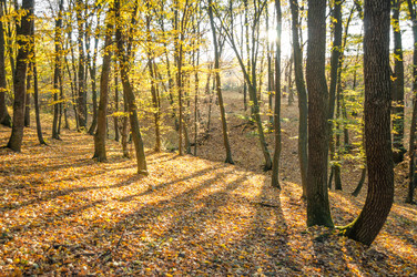 Similar image 10446562