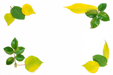 Similar image 10446563