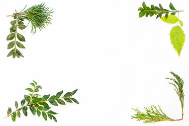 Similar image 10446564