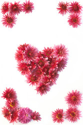 Similar image 10446566