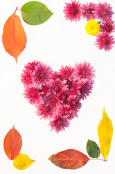 Similar image 10446568