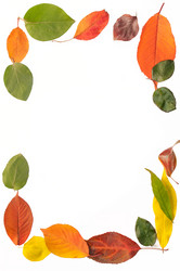 Similar image 10446569