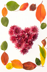 Similar image 10446570