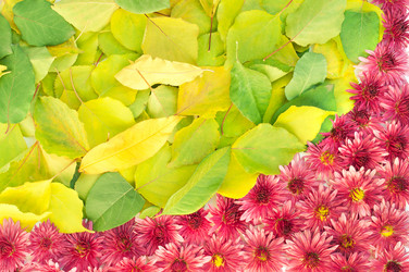 Similar image 10446572