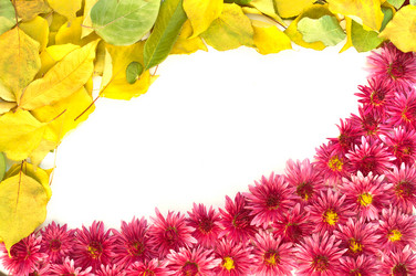 Similar image 10446573