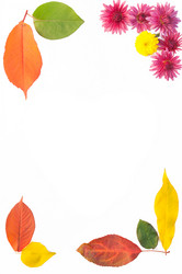 Similar image 10446575