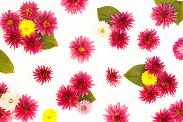 Similar image 10446576