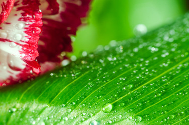 Similar image 10446578