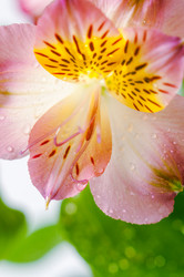 Similar image 10446579