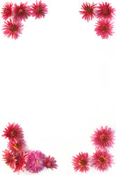 Similar image 10446582