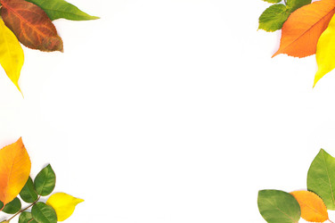 Similar image 10446583