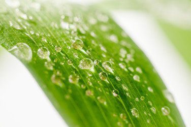 Similar image 10446584