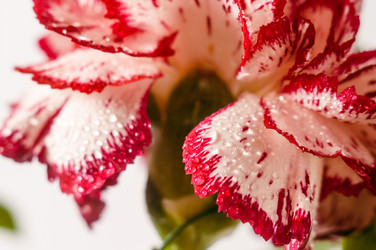 Similar image 10446585