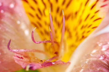 Similar image 10446587