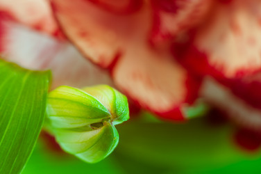 Similar image 10446589