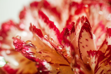 Similar image 10446590