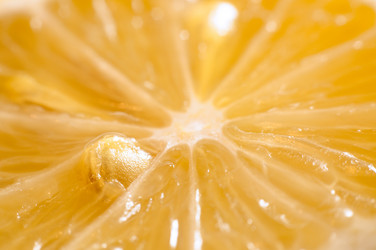 Similar image 10446591