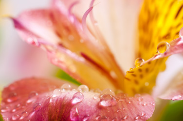 Similar image 10446597