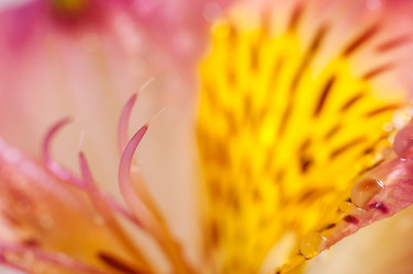 Similar image 10446598