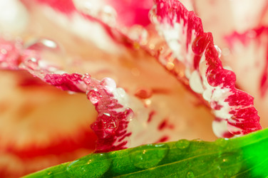 Similar image 10446599