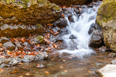 Similar image 10446610