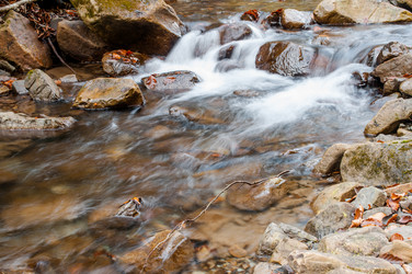 Similar image 10446614