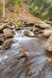 Similar image 10446621