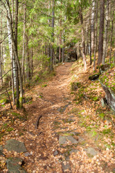 Similar image 10446624