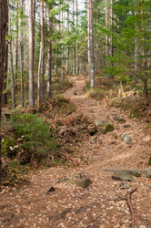 Similar image 10446627