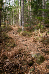 Similar image 10446628