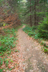 Similar image 10446630