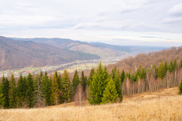 Similar image 10446632