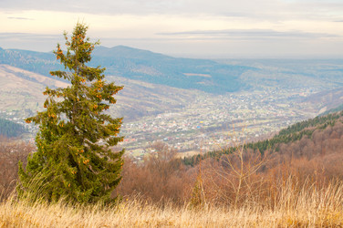 Similar image 10446634