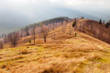 Similar image 10446637