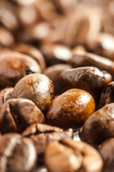 Similar image 10446642