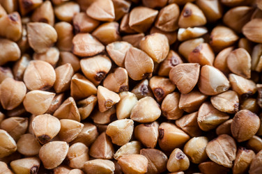 Similar image 10446647