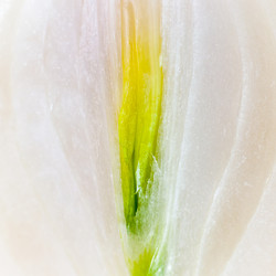 Similar image 10446649