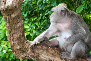 Similar image 10446668