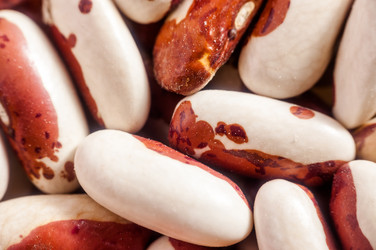 Similar image 10446675