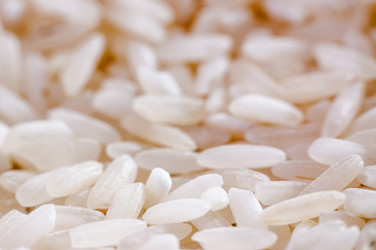 Similar image 10446680