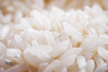 Similar image 10446681