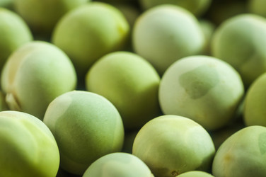 Similar image 10446687