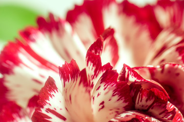 Similar image 10446699