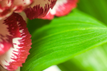 Similar image 10446700