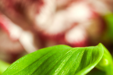 Similar image 10446702